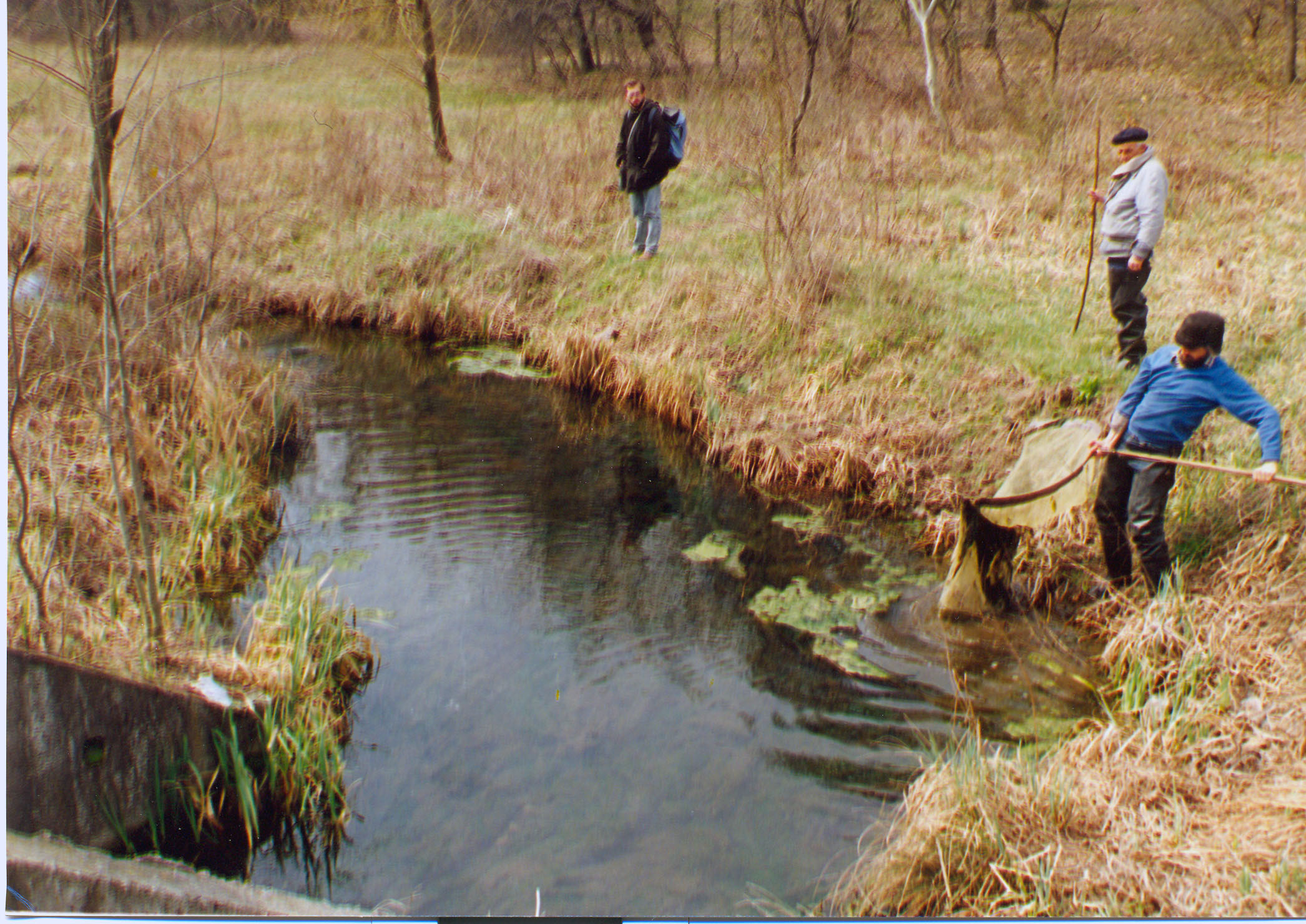 1995, Comana, scientific fishing with Academician Petru Bănărescu on the banks of the Gurbanul Stream! Photo credit: Crăciun